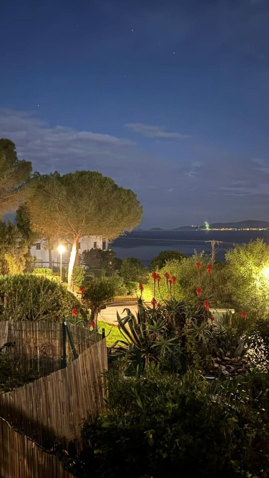 Haut De Villa Vue Mer 3 Pieces Climatise & Wifi 4 A 6 Personnes Pietrosella エクステリア 写真